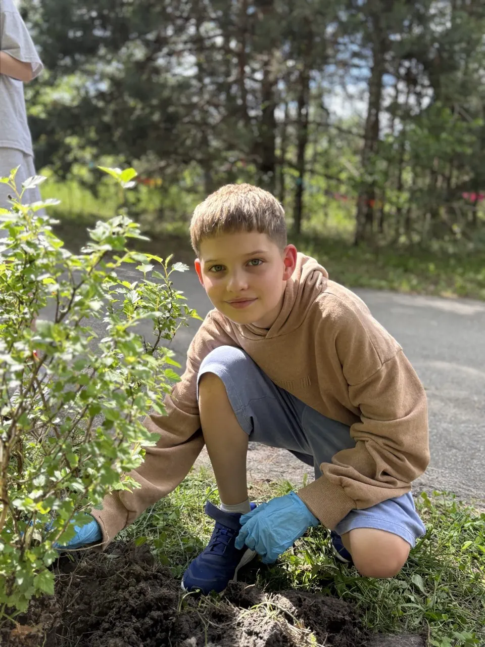 Хлопчик саджає дерево у лісі